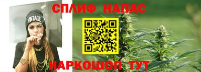 молекула духа Гатчина