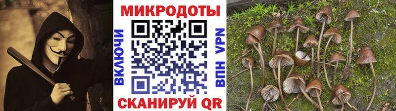 цены   Новошахтинск  Псилоцибиновые грибы прущие грибы 