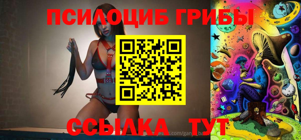 Галлюциногенные грибы MAGIC MUSHROOMS  Вход с VPN  Галлюциногенные грибы ЛСД  Новошахтинск 